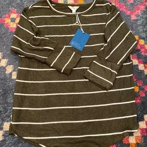 Ivory Green Stripped Top